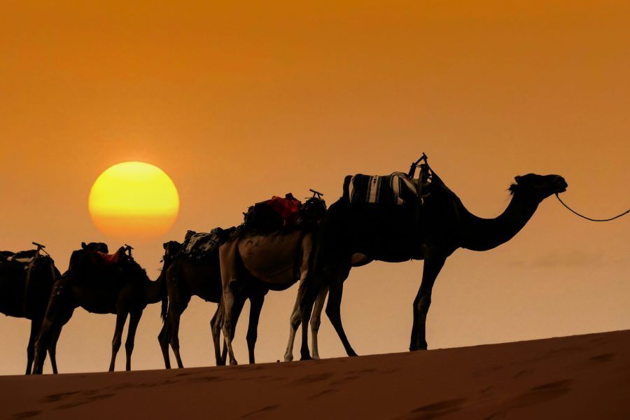 Transfert Fes vers Merzouga